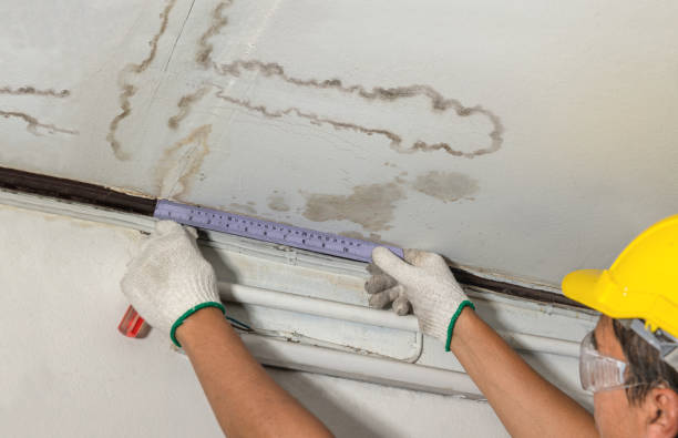 Reliable Burst Pipe Cleanup contractor in Girard, KS by Water Damage Irwin